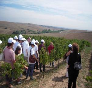 A��klama: A��klama: C:\Users\m�ge\Desktop\webfoto 2010 rotary\DSCN2176.JPG